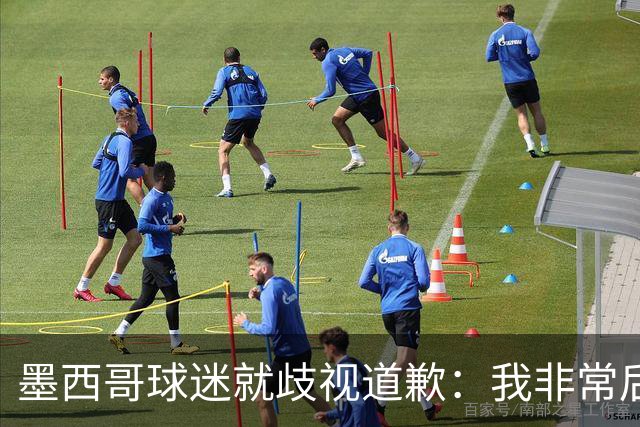 墨西哥球迷就歧视道歉：我非常后悔，已辞去工程师协会职务