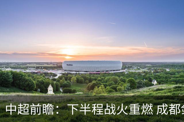 中超前瞻：下半程战火重燃 成都剑指三分申花求反弹