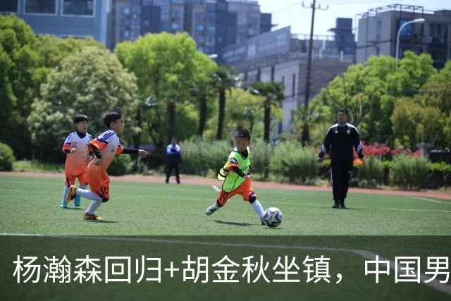 杨瀚森回归+胡金秋坐镇，中国男篮双塔组合能扛住日本队冲击吗？